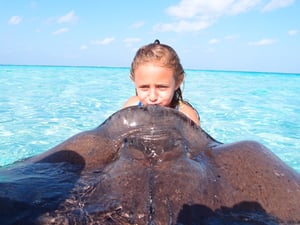 stingray_city